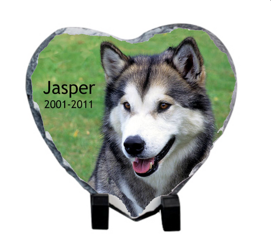 Personalised Pet Memorial Photo Rock Slate With Your Choice Of Wording