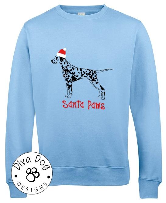 Santa paws sale christmas jumper