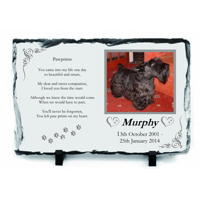 Personalised Pet Memorial Photo Rock Slate With Your Choice Of Wording